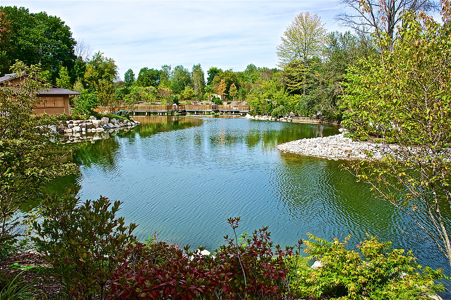 Zig-zag Bridge Across Pool In Japanese Garden In Meijer Gardens In ...