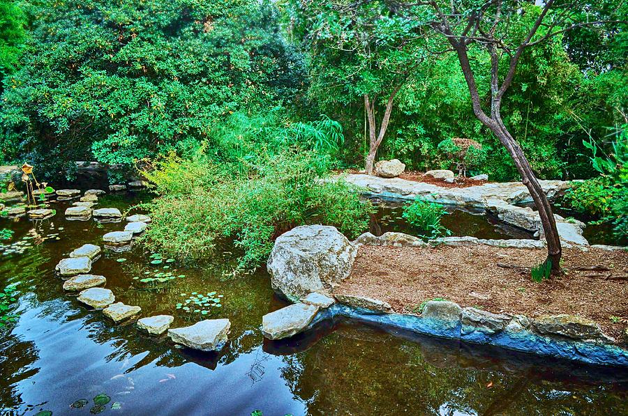 Zilker Japanese Botanical Garden II Photograph by Kristina Deane