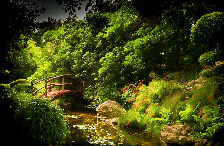 Zilker Park Japanese Garden Photograph by Dean Ginther