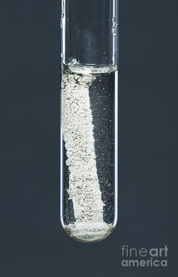 Zinc Reacting With Silver Nitrate, 3 Photograph by GIPhotoStock