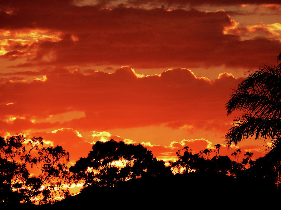Zinger Sunset Photograph by Mark Blauhoefer