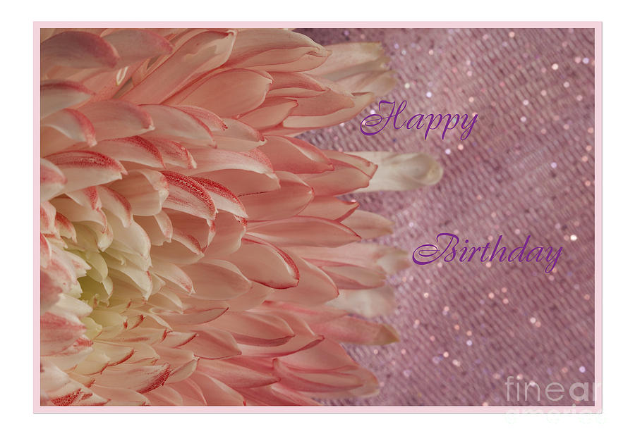 Flower Photograph - Chrysanthemum Birthday by Donna Crider