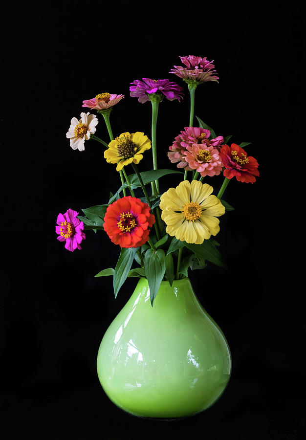 Zinnia Bouquet Photograph by Angie Vogel