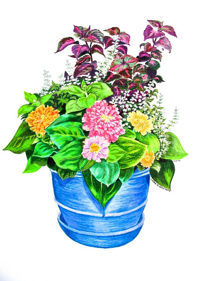 Zinnia Container Garden Drawing by Linda Williams