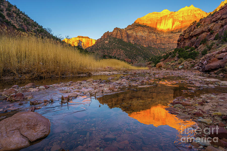 Zion Golden Sentinel Reflection Photograph by Mike Reid