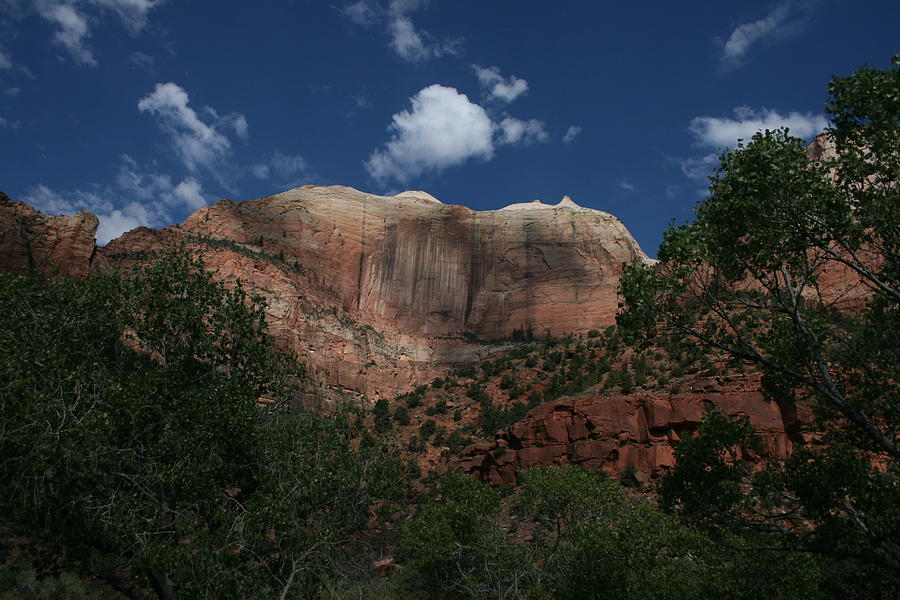 Zion 2 Photograph by Grant Washburn