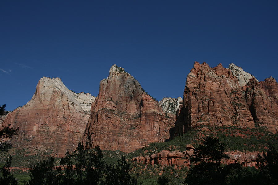 Zion 3 Photograph by Grant Washburn