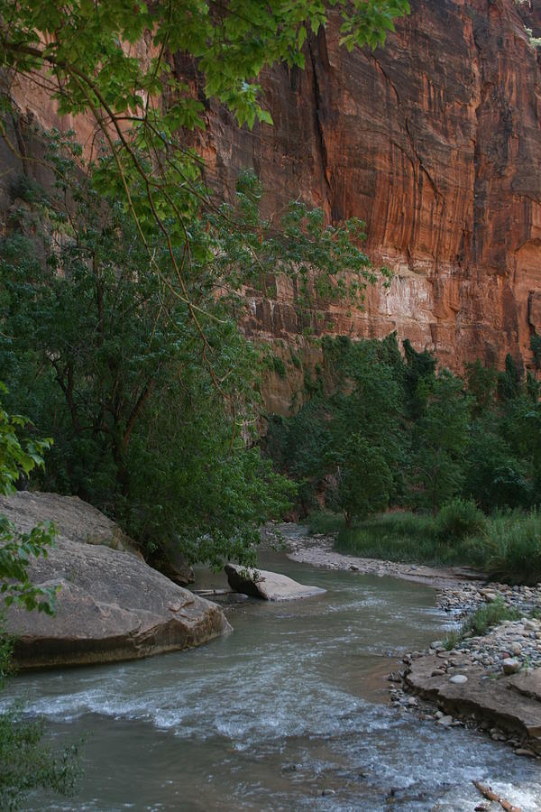 Zion 7 Photograph by Grant Washburn