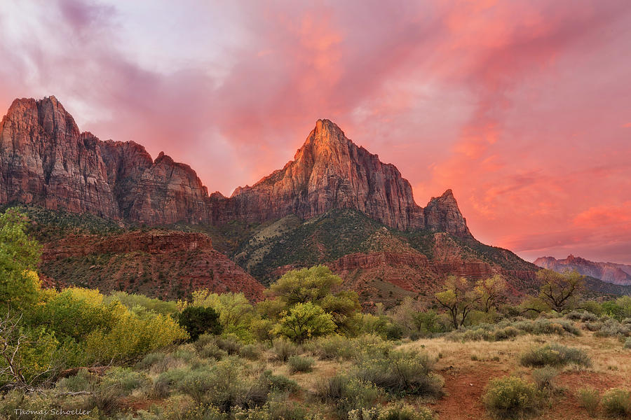 Zion Awakens by Expressive Landscapes Nature Photography Zion Awakens by Expressive Landscapes Nature Photography