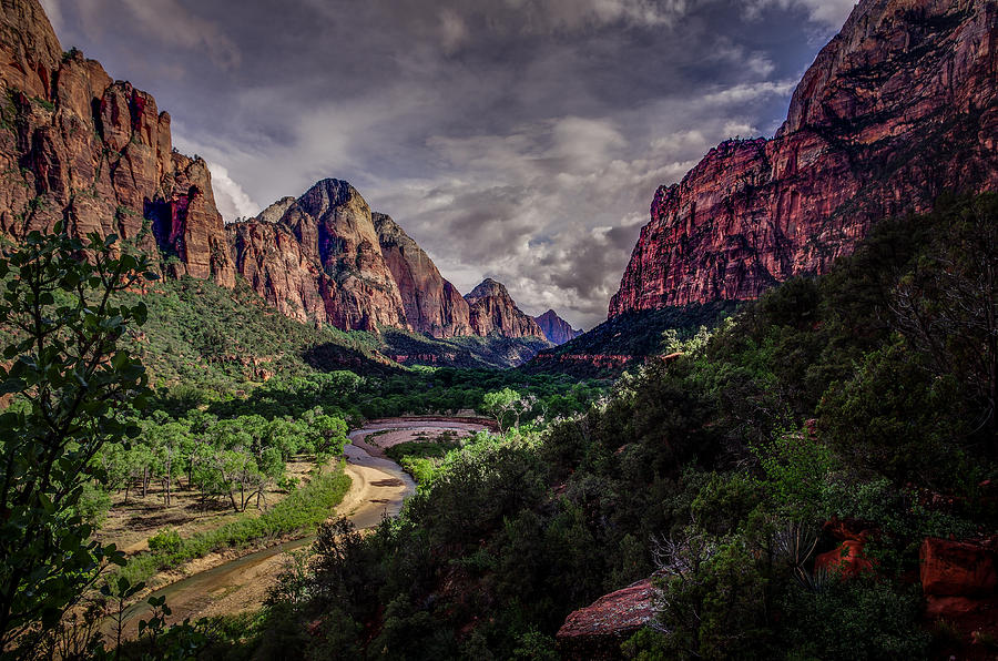 Zion Canyon along Emerald Pools Trail Photograph by Scott McGuire