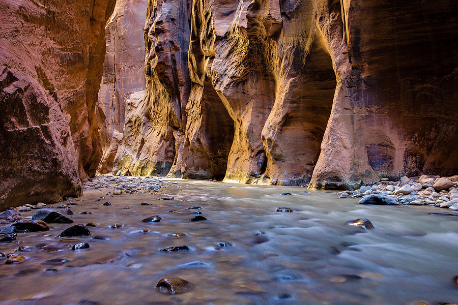 Zion Canyon Gorge Photograph by Adam Mateo Fierro