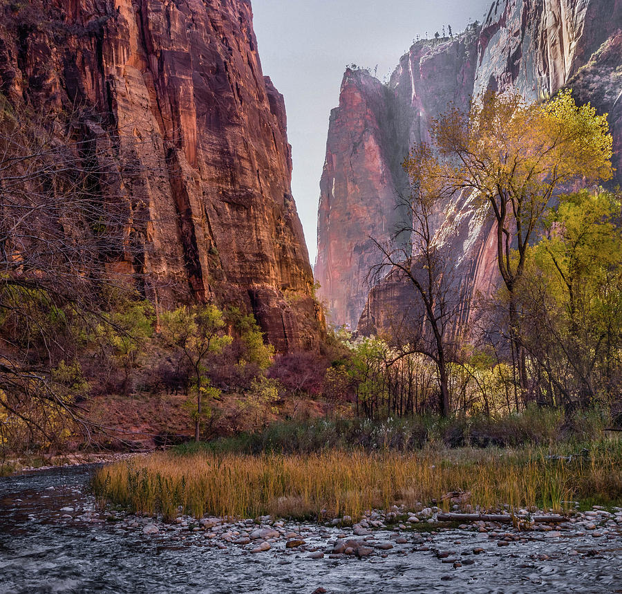 Zion Canyon Photograph by James Woody