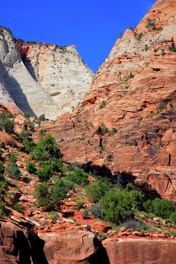 Zion Canyon Photograph by Jerry Sodorff