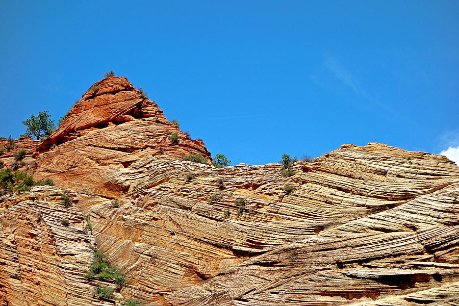 Zion Checkerboard Formations Photograph by Robert Meyers-Lussier