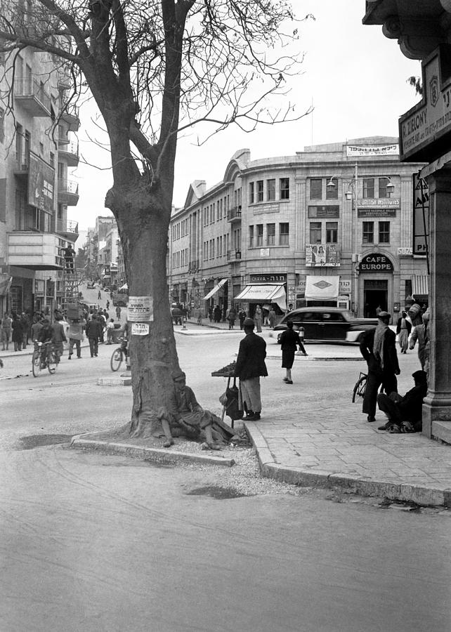 Zion Circle 1940 Photograph by Munir Alawi