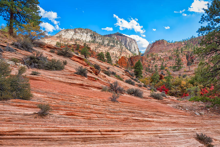 Zion Country Photograph