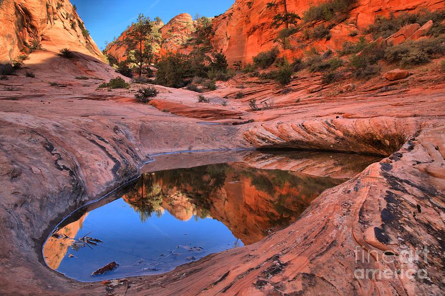 Zion East Canyon Reflections Photograph by Adam Jewell