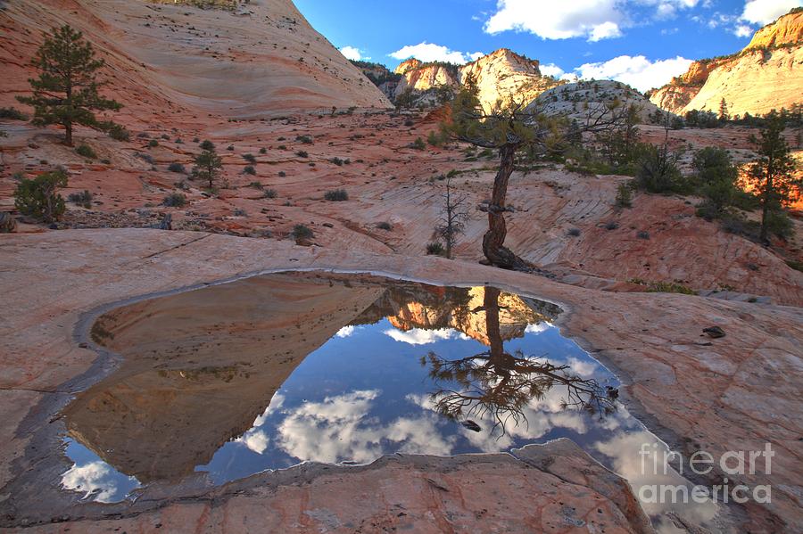 ZIon East Cliff Reflections Photograph by Adam Jewell