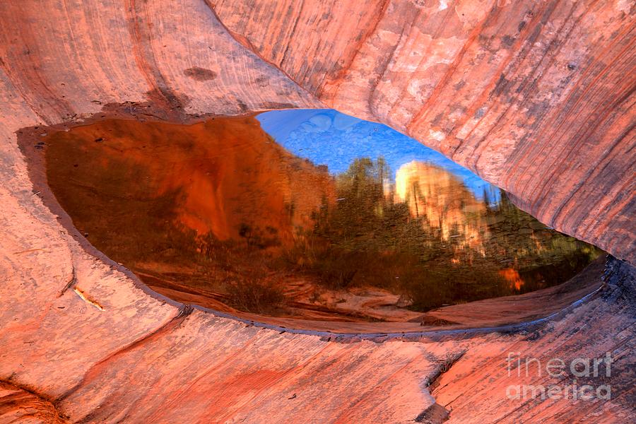 Zion East Pool Reflections Photograph by Adam Jewell