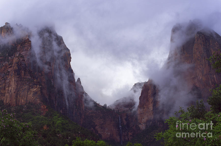 Zion Fog Photograph by Louise Magno