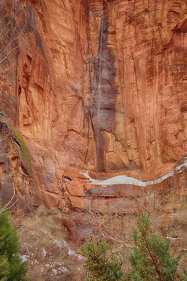 Zion Photograph by Gerry Sibell