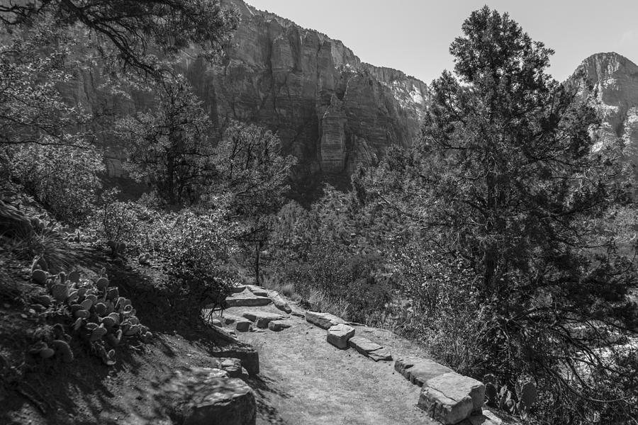 Zion in Back and White  Photograph by John McGraw