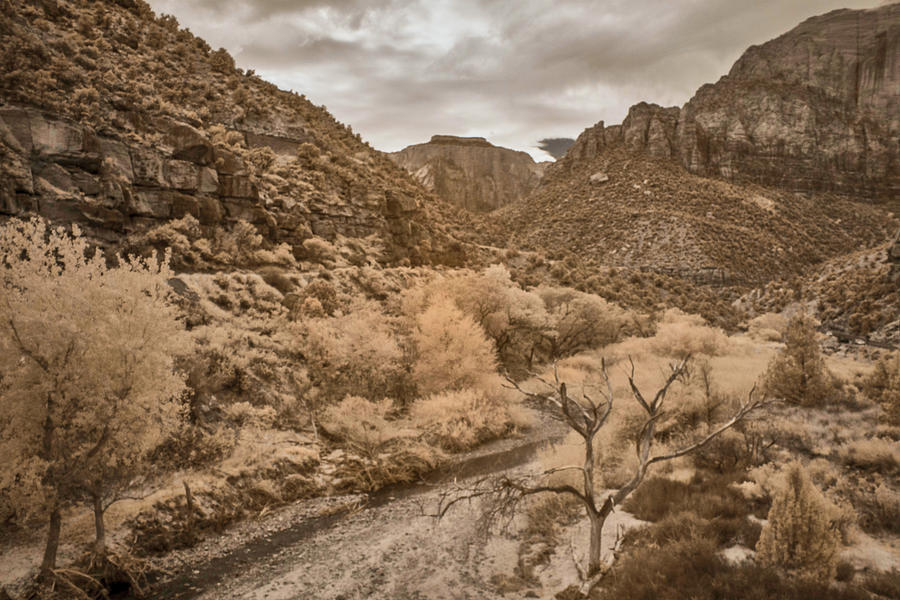 Zion Landscape  Photograph by Jim Cook