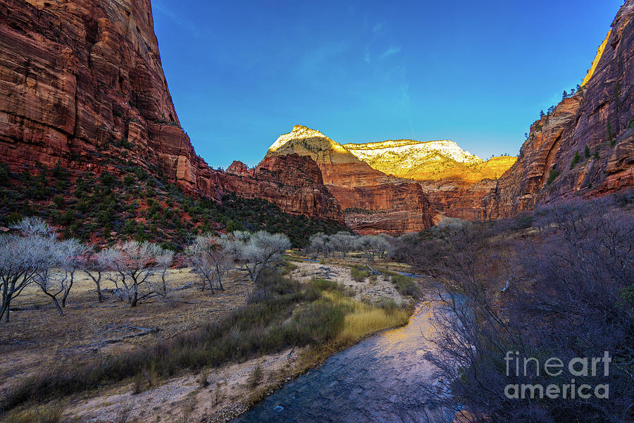 Nature Photograph - Zion Landscape Towards the White Thone by Mike Reid
