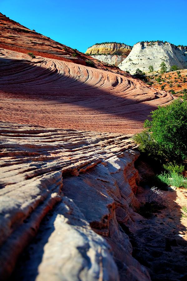 Zion Leading Lines Photograph by Jerry Sodorff
