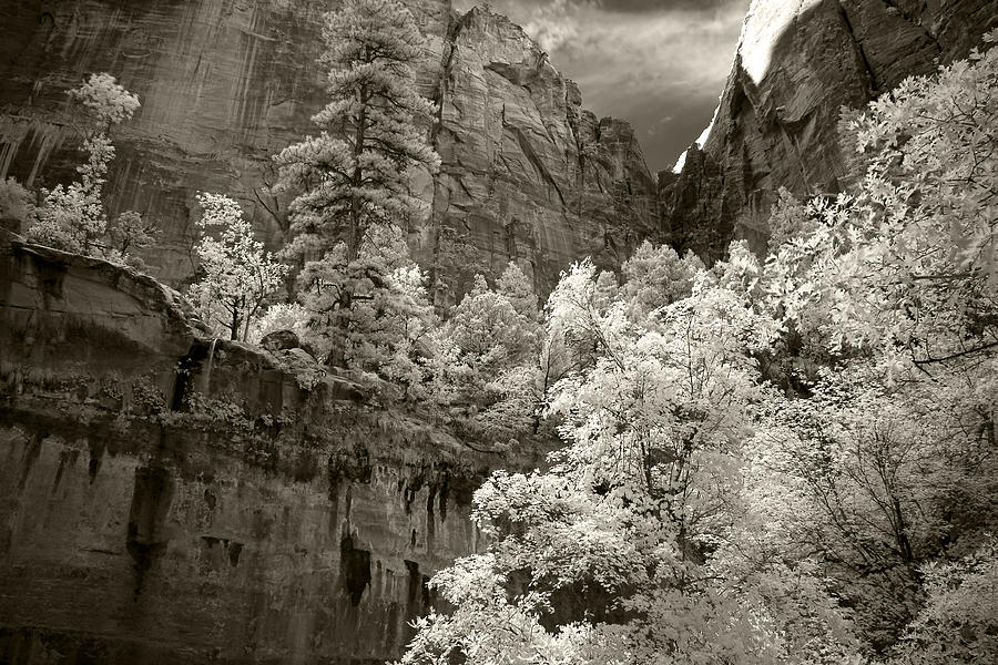 Zion Photograph by Mike Irwin