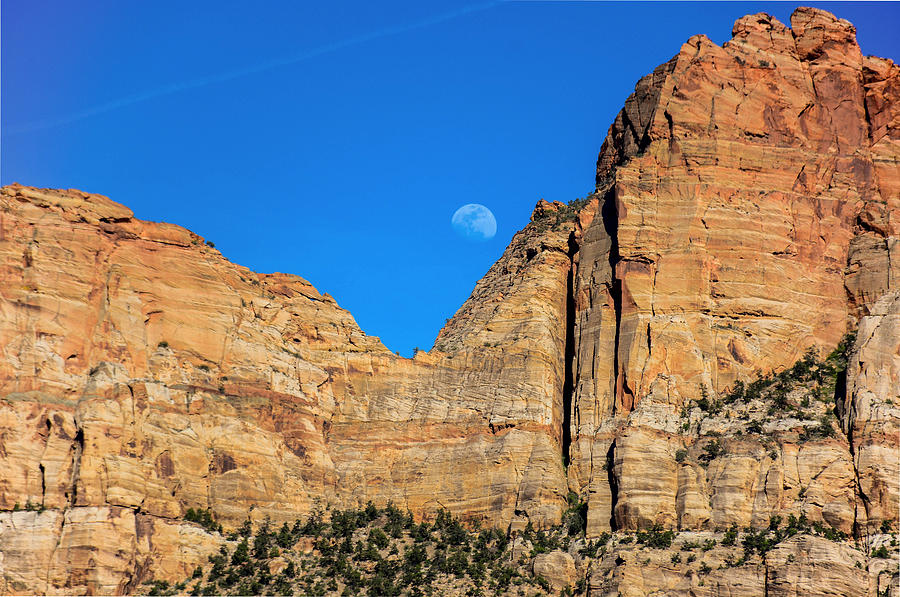 Zion moon Photograph by Barry Bohn