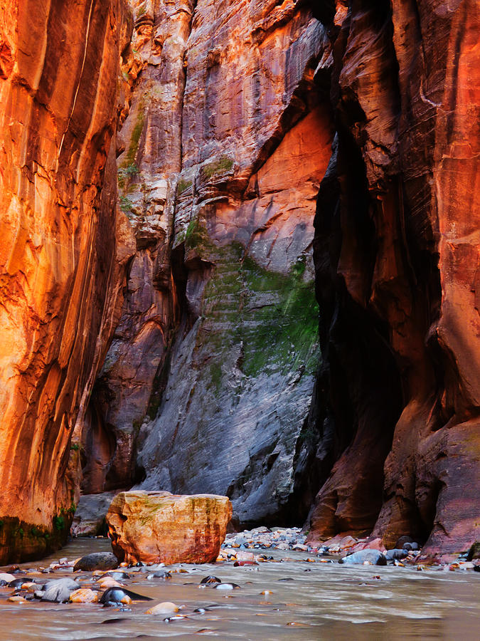 Zion Narrows with Boulder Photograph by Alan Socolik