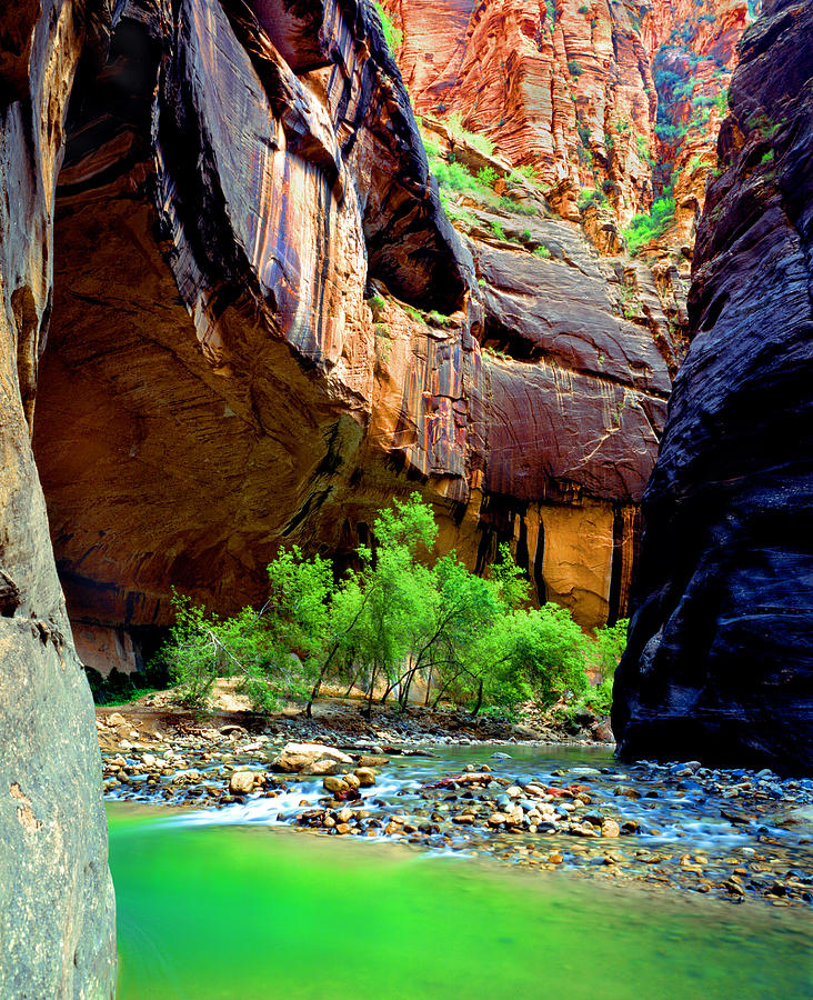 Zion Narrows #2 Photograph by Frank Houck