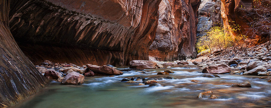 Zion Narrows Autumn Photograph by Andrew Soundarajan