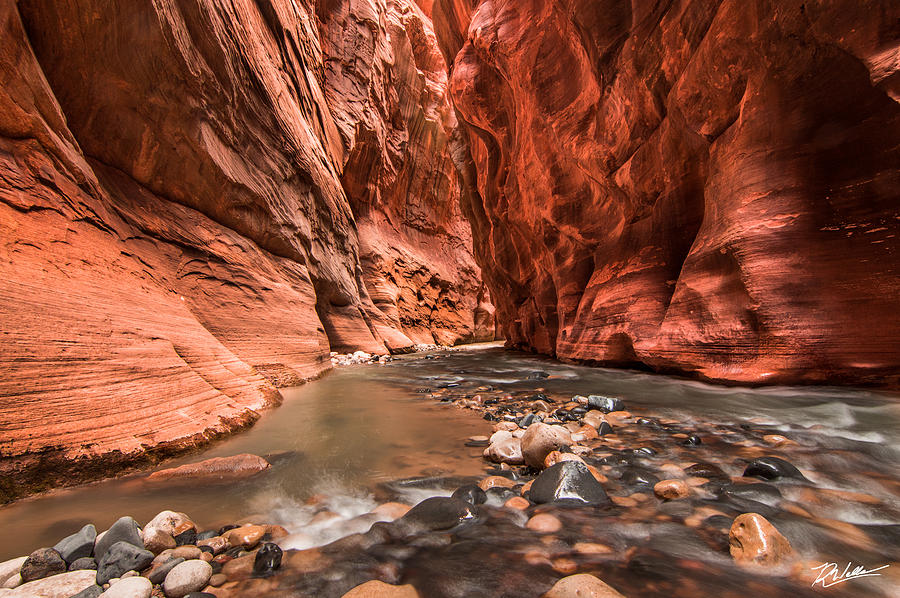 Zion Narrows Photograph by Russell Wells