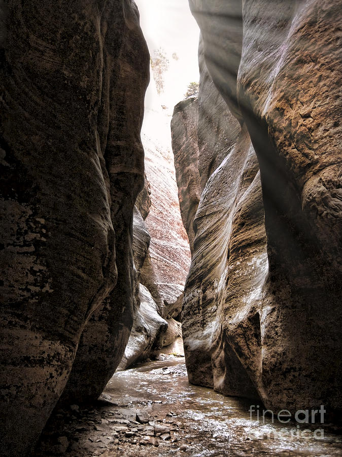 Zion Narrows Sun Rays Photograph by Baywest Imaging