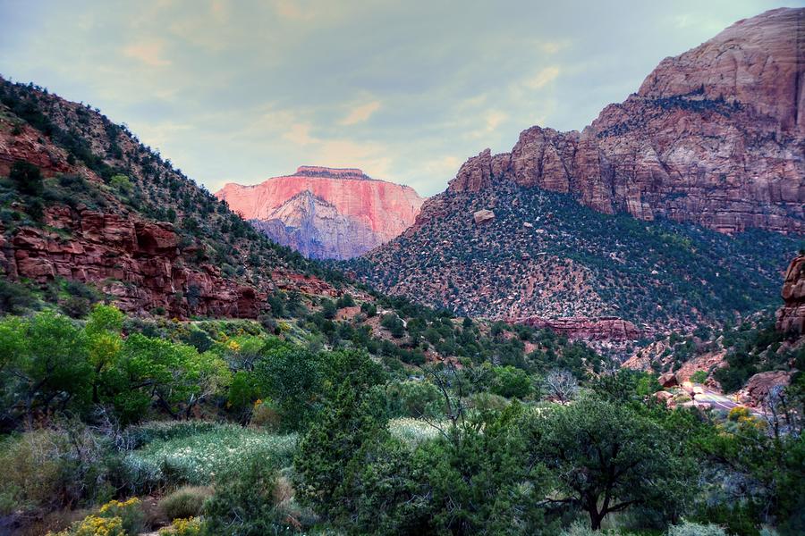Zion National Park Photograph by Charlotte Schafer