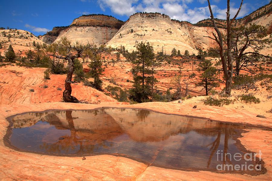 Zion National Park East Reflections Photograph by Adam Jewell