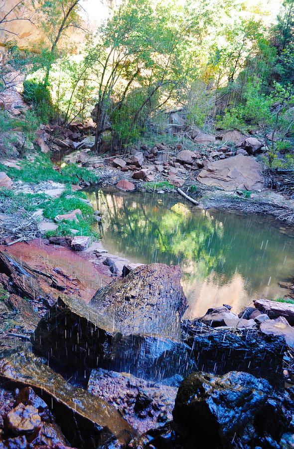 Zion National Park Emerald Pools Photograph by Kyle Hanson