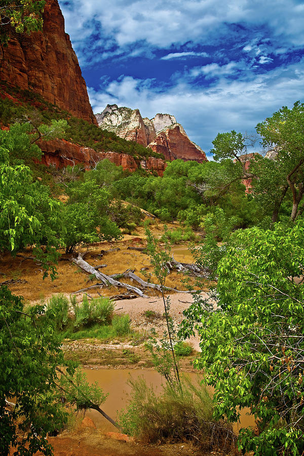 Zion National Park from the Virgin River Photograph by Levin Rodriguez
