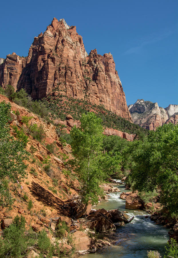 Zion National Park Photograph by Gerald DeBoer