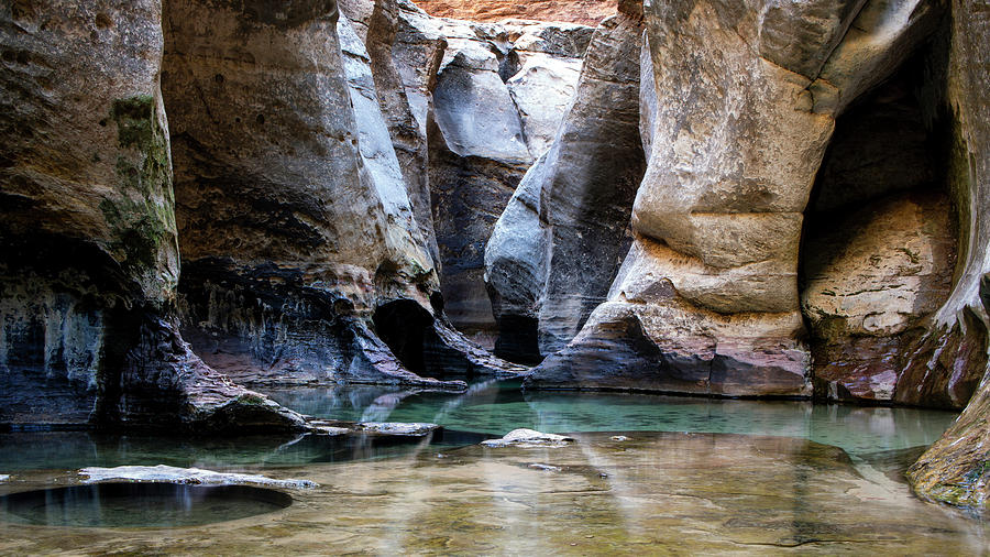 Zion National Park, Hidden Falls Corridor by Christopher Carlson