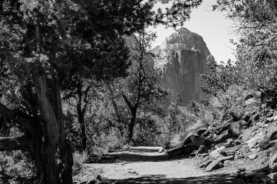 Zion National Park Hike Black and White Photograph by John McGraw
