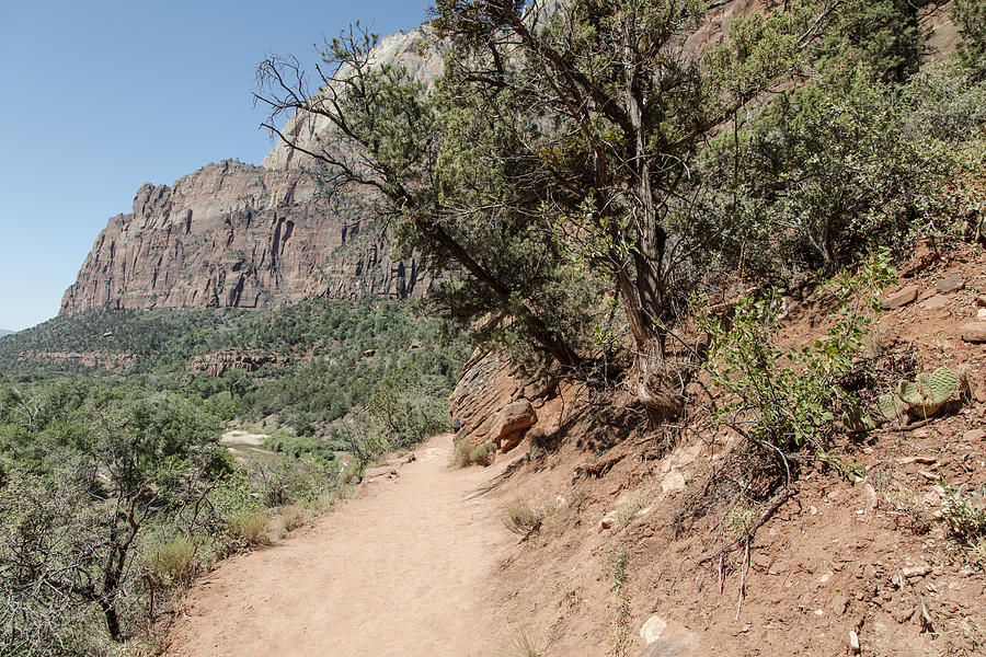 Zion National Park Hike  Photograph by John McGraw