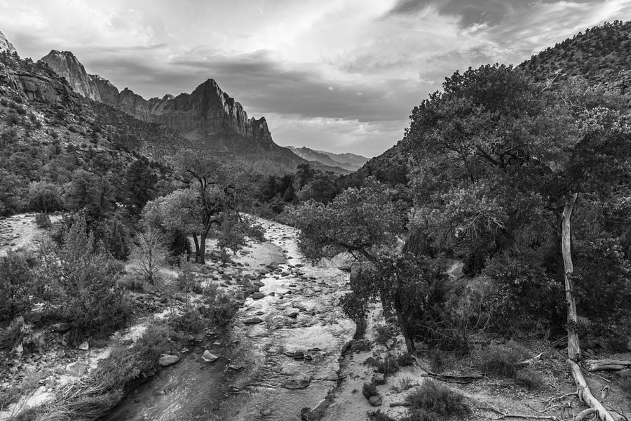 Zion National Park in Black and White  Photograph by John McGraw