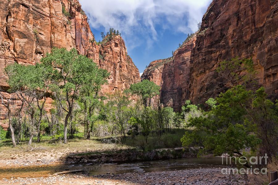 Zion National Park in Spring Photograph by Peggy Hughes