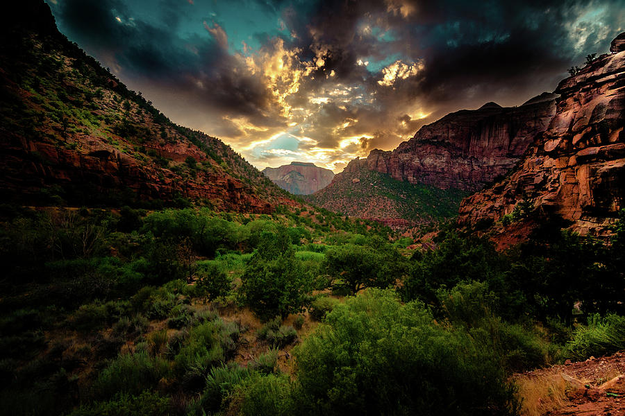 Zion National Park Photograph - Zion National Park by JB Manning
