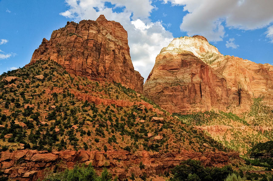 Zion National Park Red Rocks Photograph by Ginger Wakem