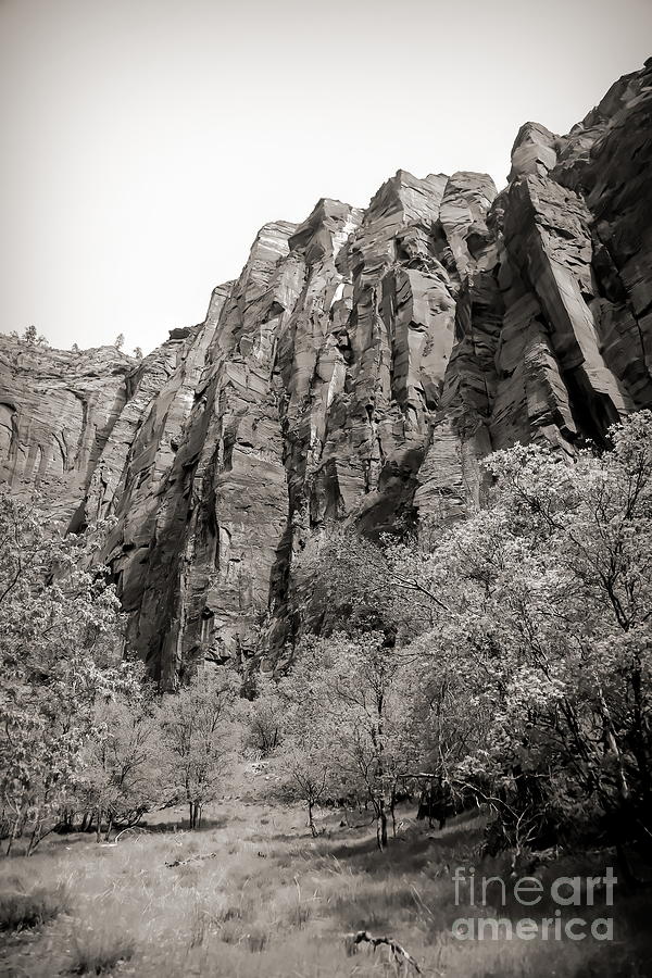 Zion National Park Sepia Tones  Photograph by Chuck Kuhn