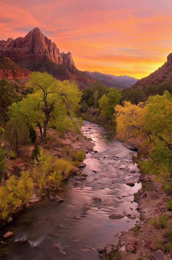 Zion National Park The Watchman Photograph by Dean Hueber